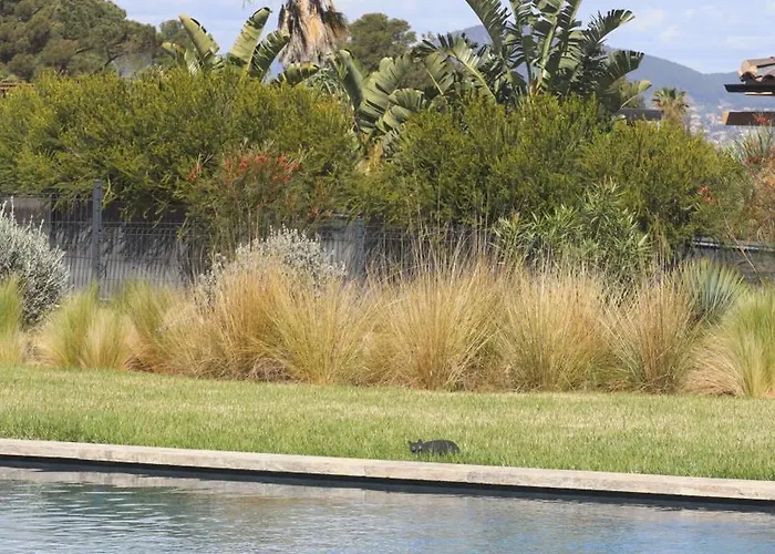 Seabel - Le Standing Avec Piscine Et Vue * Hyères